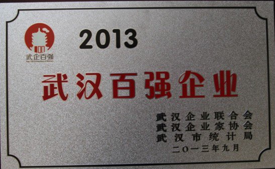 2013-武漢百強企業(yè)