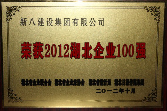 2012-湖北企業(yè)100強