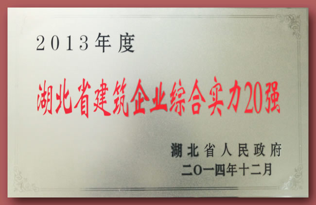 2013年度湖北省建筑業(yè)綜合實力20強獎牌